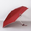 Зонт Rain berry  арт. 241029