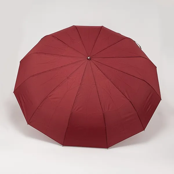 Rain Berry Зонт 734-31203