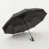 Rain Berry Зонт (черный)