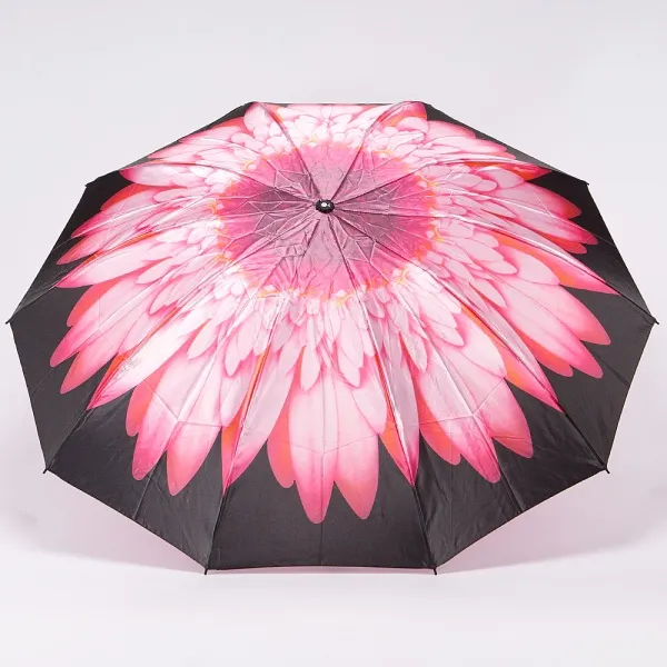 Rain Berry Зонт 734-23340