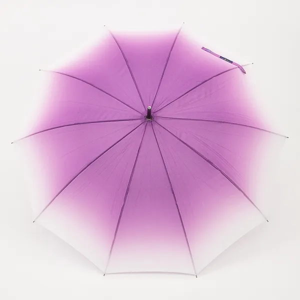 Rain Berry Зонт-трость 734-0106