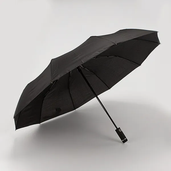 Rain Berry Зонт 734-2397T