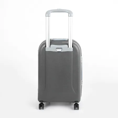Francesco Molinary Чемодан на 4-х колесах (серый)