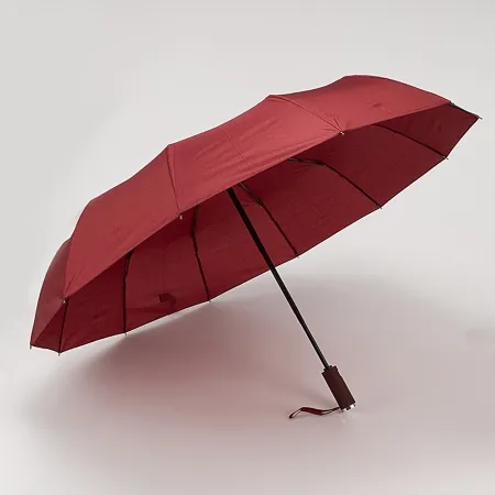 Rain Berry Зонт (мультиколор)