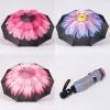 Rain Berry Зонт (мультиколор)