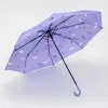 Rain Berry Зонт (фиолетовый)