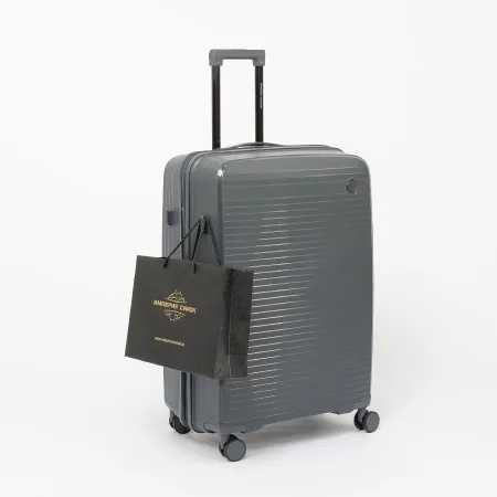 Francesco Molinary Чемодан на 4-х колесах (серый)