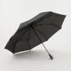Rain Berry Зонт (черный)