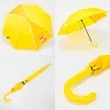 Rain Berry Зонт-трость (желтый)
