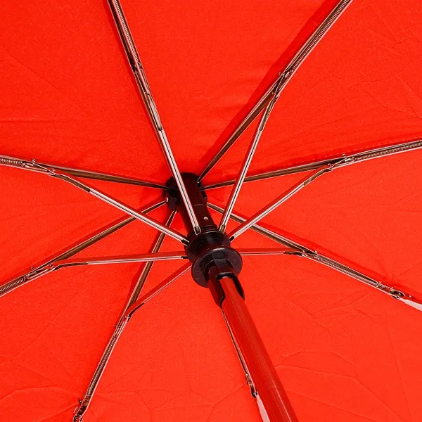 Rain Berry Зонт 734-1307