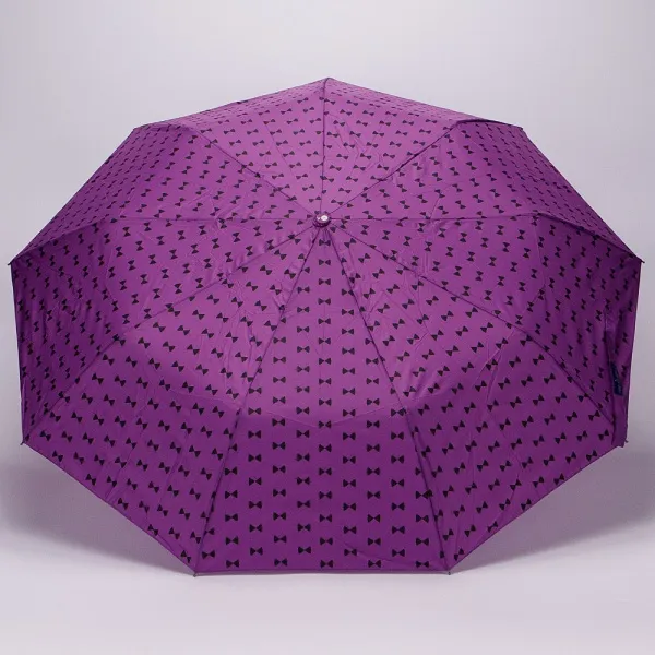 Rain Berry Зонт 734-0308