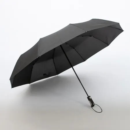 Rain Berry Зонт (черный)