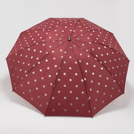 Rain Berry Зонт (мультиколор)