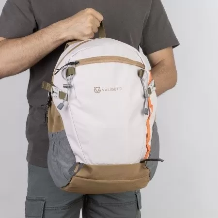 Рюкзак Valigetti арт. 363360-98606