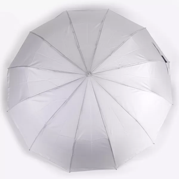 Зонт Rain berry  арт. 24131203 Зонт Rain berry  арт. 24131203