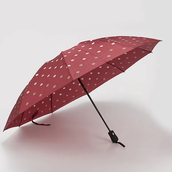 Rain Berry Зонт 734-23331