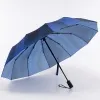 Francesco Molinary Зонт (синий)