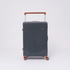 Чемодан Valigetti арт. 3618050-28