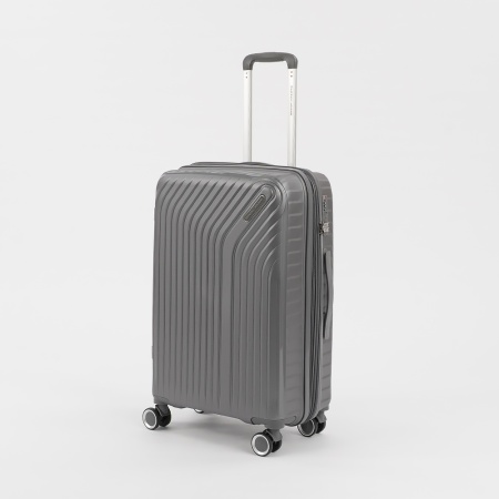 Francesco Molinary Чемодан на 4-х колесах (серый)