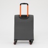 Francesco Molinary Чемодан на 4-х колесах (серый)