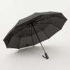 Rain Berry Зонт (черный)