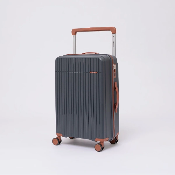 Чемодан Valigetti арт. 3618050-24