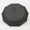 Rain Berry Зонт (черный)