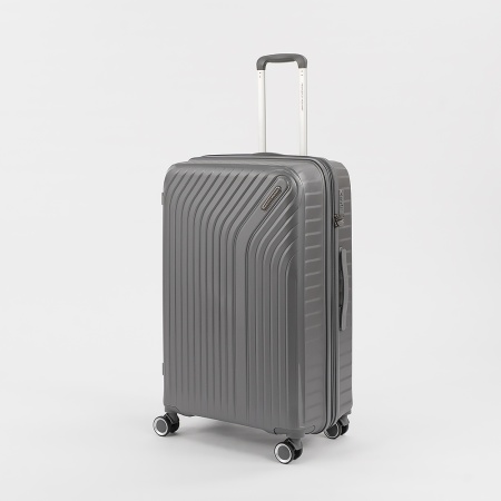 Francesco Molinary Чемодан на 4-х колесах (серый)