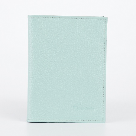 Poshete Обложка для паспорта и автодок (светло-зеленый)